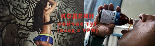 ГАЛЛЮЦИНОГЕННЫЕ ГРИБЫ Няндома