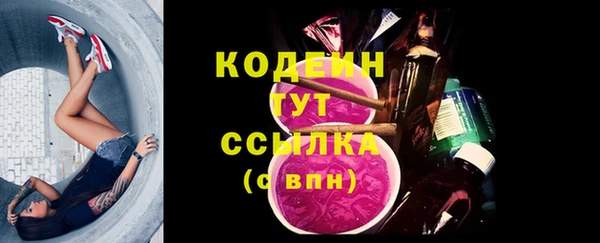 МДПВ Новозыбков