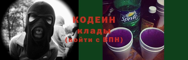 ГАЛЛЮЦИНОГЕННЫЕ ГРИБЫ Няндома