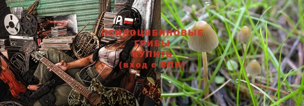 МДПВ Новозыбков