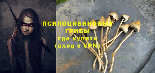 ГАЛЛЮЦИНОГЕННЫЕ ГРИБЫ Няндома