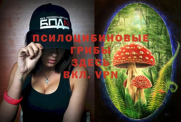 МДПВ Новозыбков